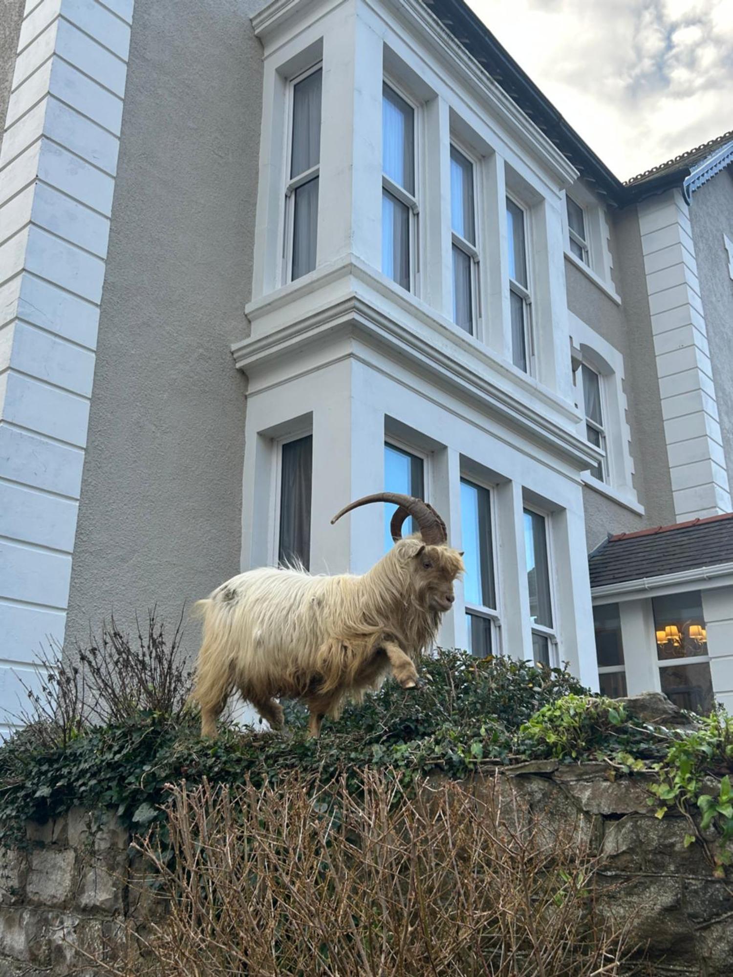 Lansdowne House With Private Car Park Hotel Llandudno Bagian luar foto